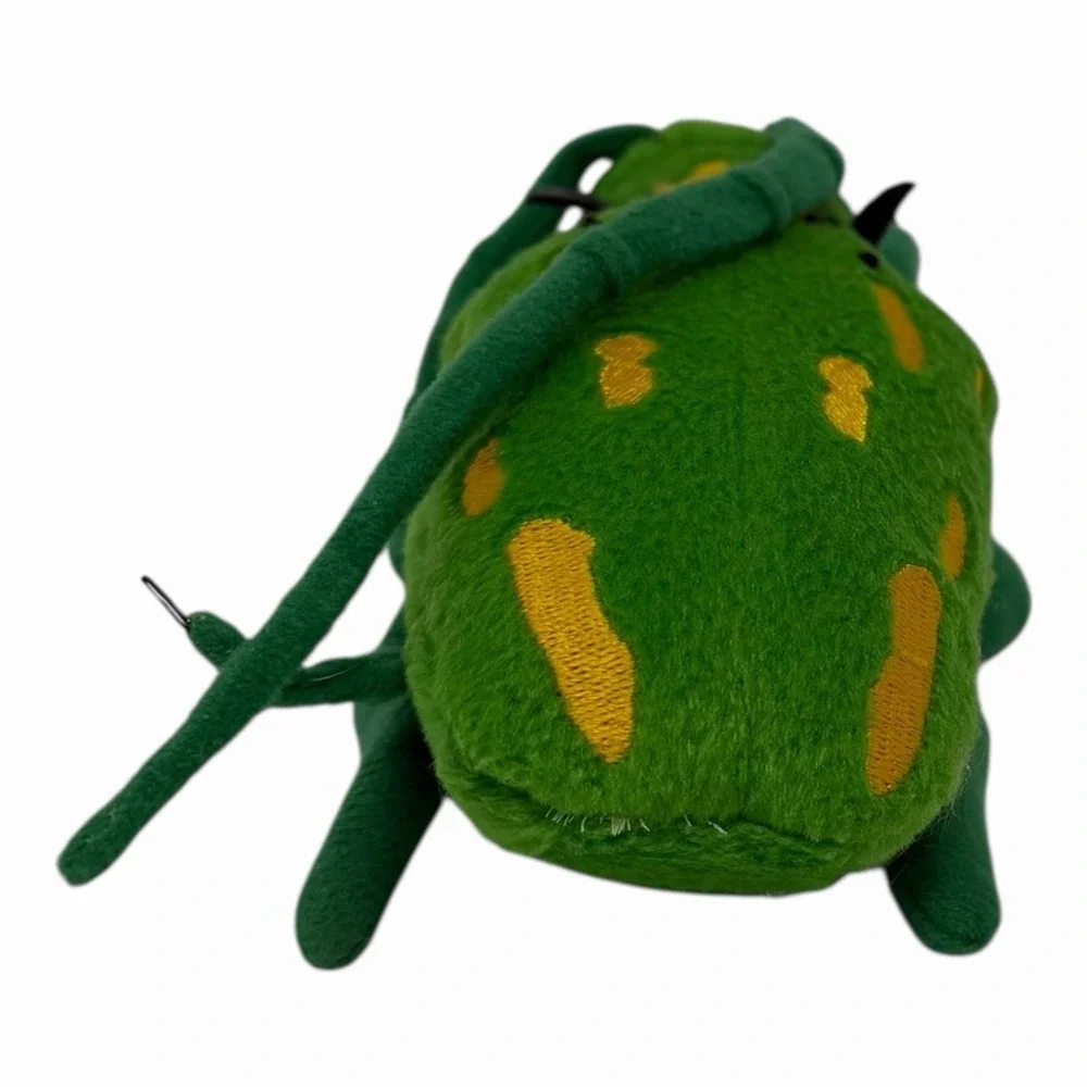 Beetle‎ Insects 5